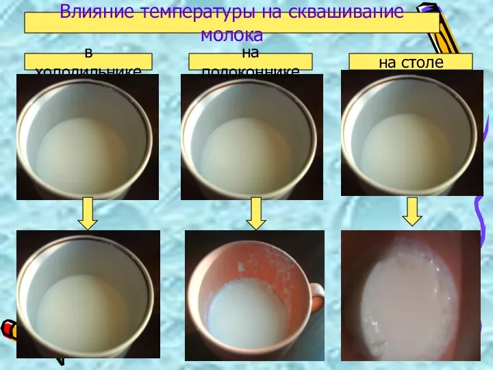 в холодильнике на столе на подоконнике Влияние температуры на сквашивание молока