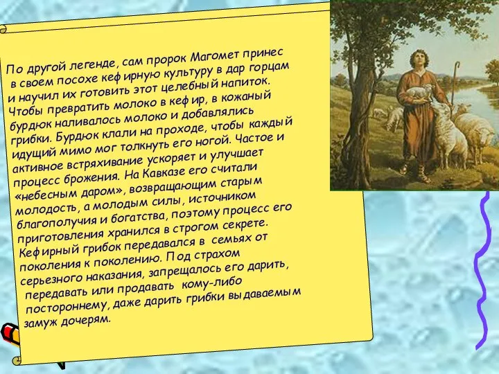 По другой легенде, сам пророк Магомет принес в своем посохе кефирную