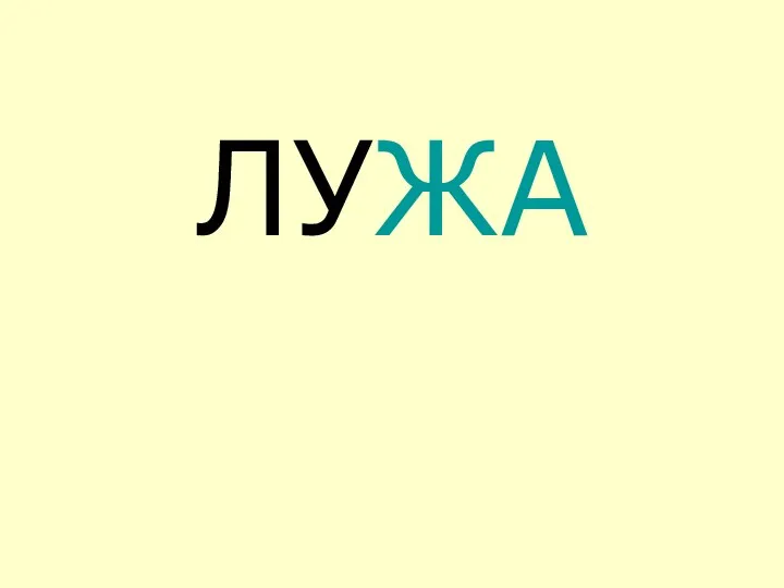 ЛУЖА