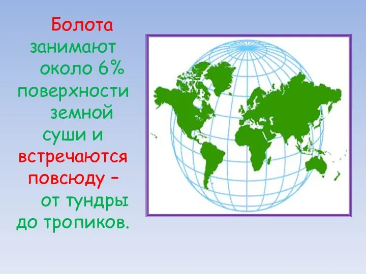 Болота занимают около 6% поверхности земной суши и встречаются повсюду – от тундры до тропиков.