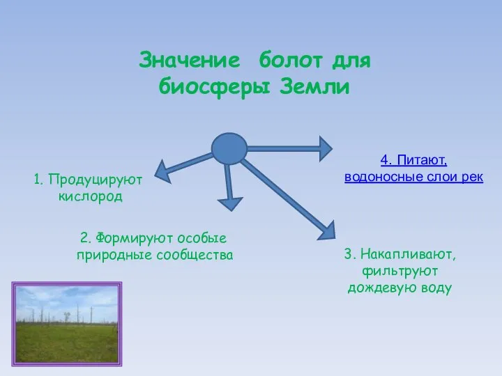 Значение болот для биосферы Земли 1. Продуцируют кислород 3. Накапливают, фильтруют