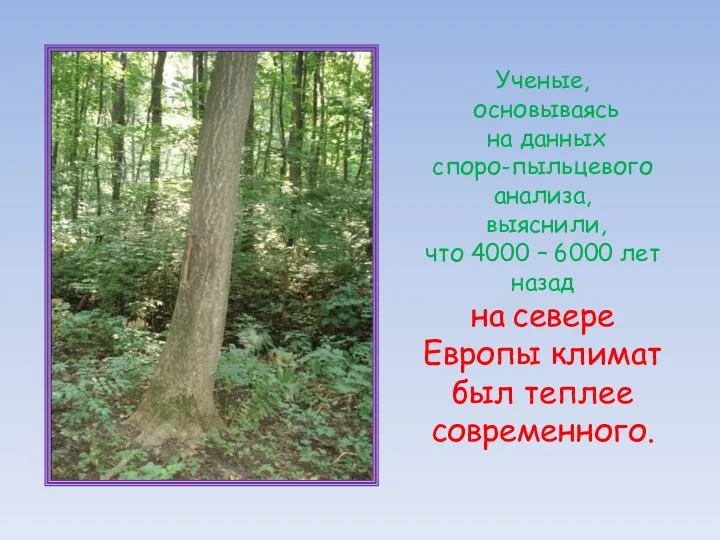 Ученые, основываясь на данных споро-пыльцевого анализа, выяснили, что 4000 – 6000