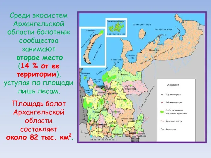 Среди экосистем Архангельской области болотные сообщества занимают второе место (14 %