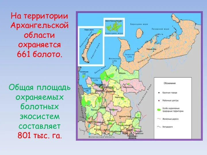 На территории Архангельской области охраняется 661 болото. Общая площадь охраняемых болотных экосистем составляет 801 тыс. га.