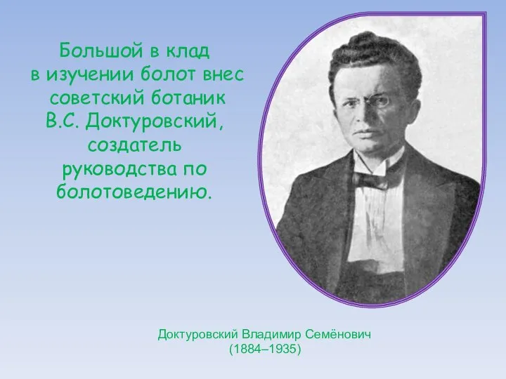 Большой в клад в изучении болот внес советский ботаник В.С. Доктуровский,