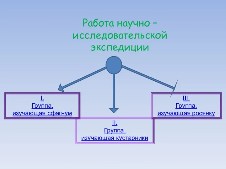 Работа научно – исследовательской экспедиции I. Группа, изучающая сфагнум II. Группа,