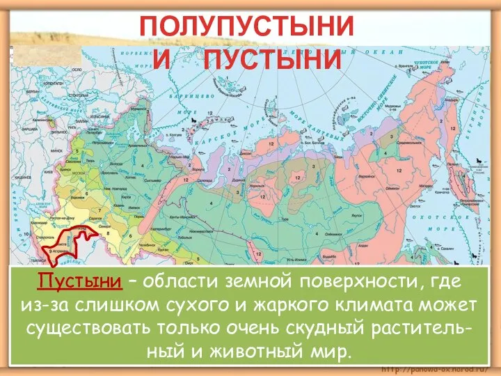 ПОЛУПУСТЫНИ И ПУСТЫНИ Пустыни – области земной поверхности, где из-за слишком