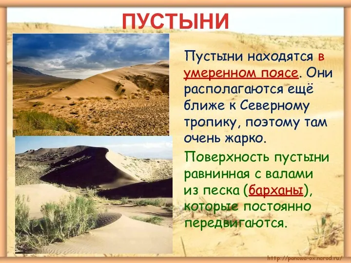 ПУСТЫНИ Пустыни находятся в умеренном поясе. Они располагаются ещё ближе к