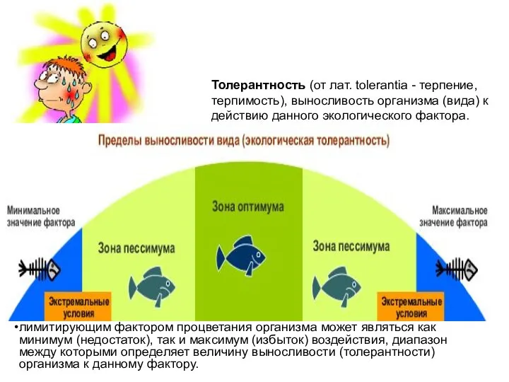 Толерантность (от лат. tolerantia - терпение, терпимость), выносливость организма (вида) к