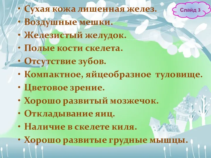 Сухая кожа лишенная желез. Воздушные мешки. Железистый желудок. Полые кости скелета.