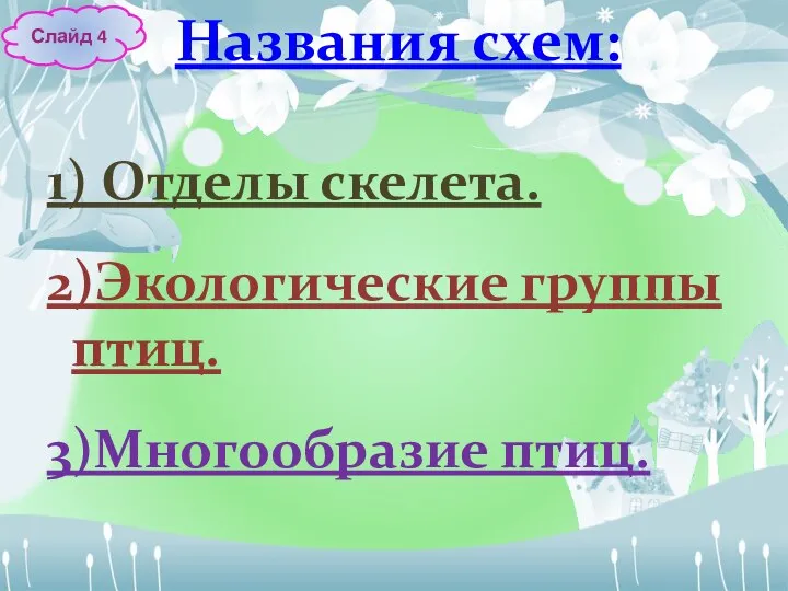 Названия схем: 1) Отделы скелета. 2)Экологические группы птиц. 3)Многообразие птиц. Слайд 4