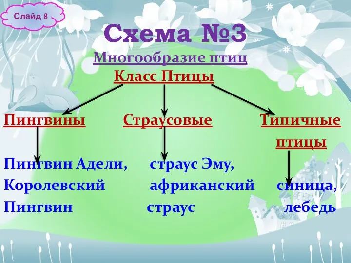 Схема №3 Многообразие птиц Класс Птицы Пингвины Страусовые Типичные птицы Пингвин