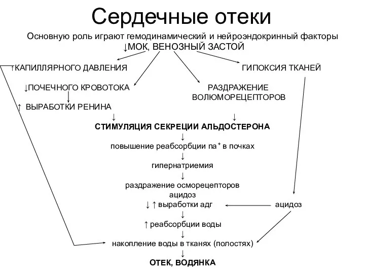 Сердечные отеки Основную роль играют гемодинамический и нейроэндокринный факторы ↓МОК, ВЕНОЗНЫЙ