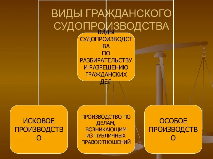 ВИДЫ ГРАЖДАНСКОГО СУДОПРОИЗВОДСТВА