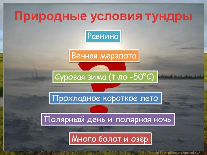 Природные условия тундры Равнина Полярный день и полярная ночь Вечная мерзлота