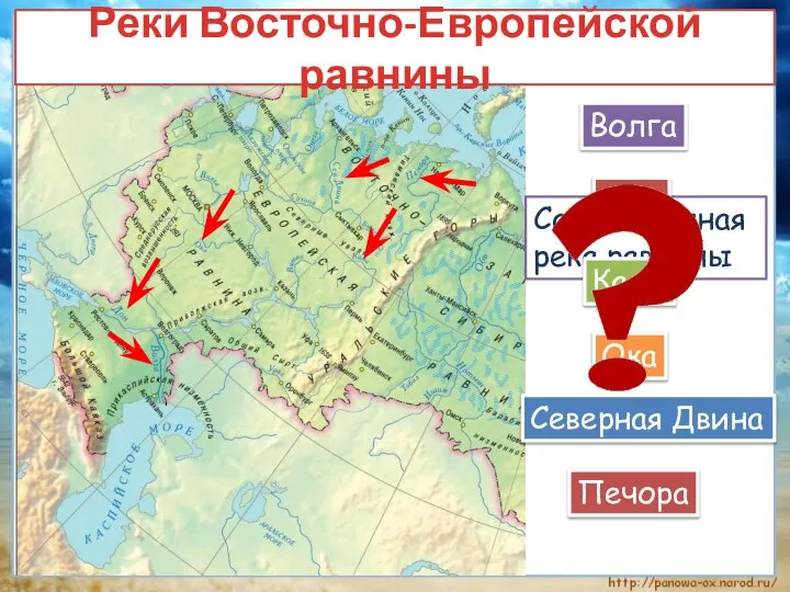 Реки Восточно-Европейской равнины Волга Самая крупная река равнины Дон Кама Ока Северная Двина Печора