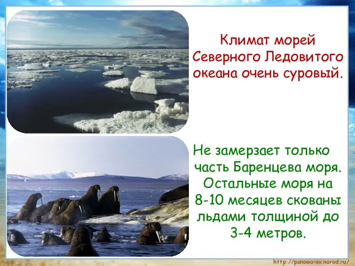 Климат морей Северного Ледовитого океана очень суровый. Не замерзает только часть