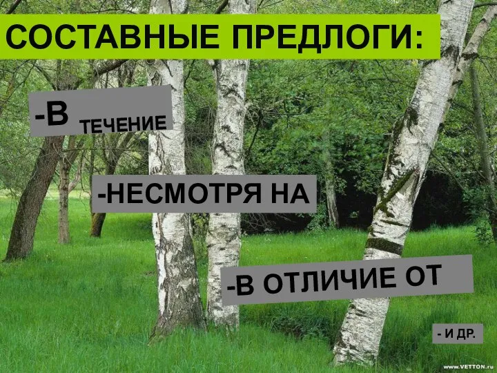 СОСТАВНЫЕ ПРЕДЛОГИ: -В ТЕЧЕНИЕ -НЕСМОТРЯ НА -В ОТЛИЧИЕ ОТ - И ДР.