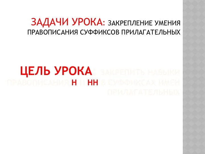 ЦЕЛЬ УРОКА: ЗАКРЕПИТЬ НАВЫКИ ПРАВОПИСАНИЯ Н И НН В СУФФИКСАХ ИМЕН