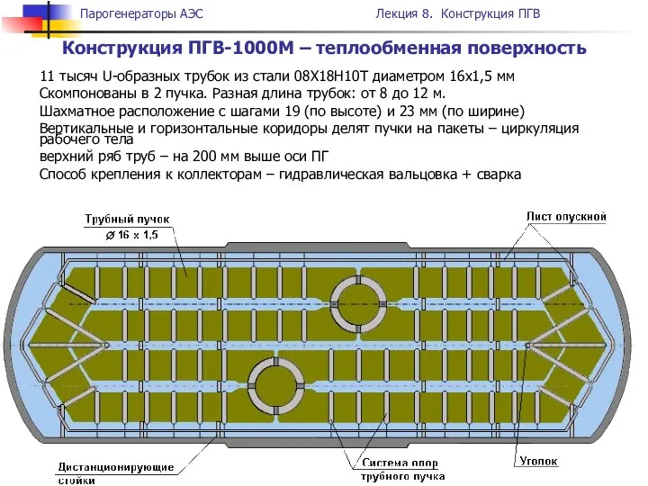 Конструкция ПГВ-1000М – теплообменная поверхность 11 тысяч U-образных трубок из стали