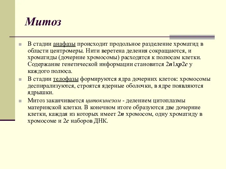 Митоз В стадии анафазы происходит продольное разделение хроматид в области центромеры.