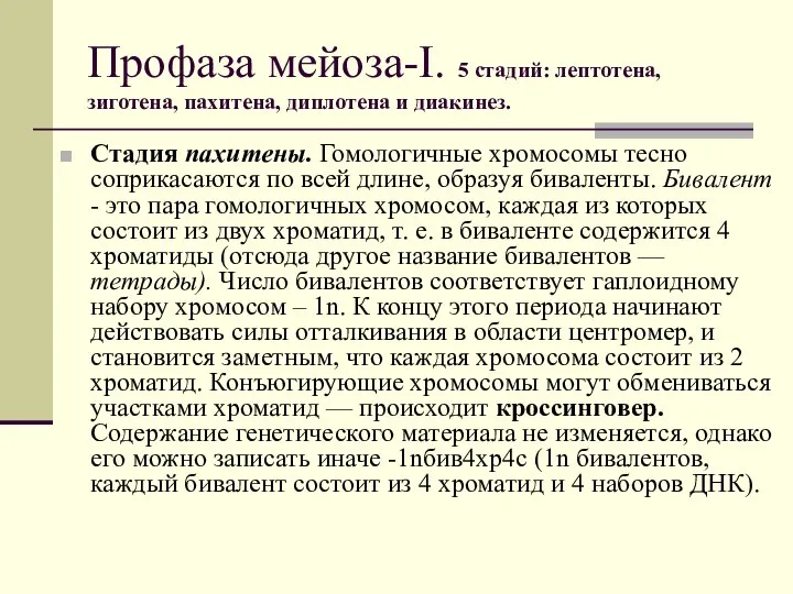 Профаза мейоза-I. 5 стадий: лептотена, зиготена, пахитена, диплотена и диакинез. Стадия