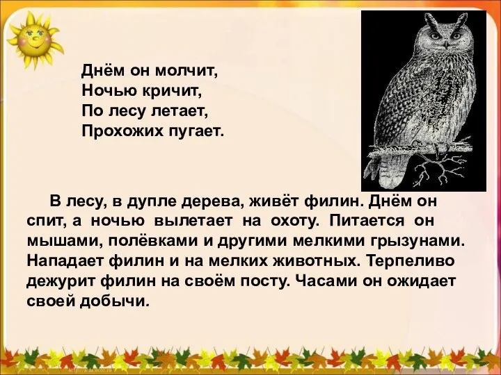 В лесу, в дупле дерева, живёт филин. Днём он спит, а