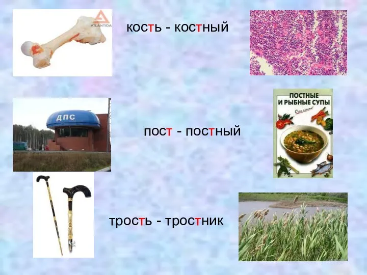 кость - костный пост - постный трость - тростник