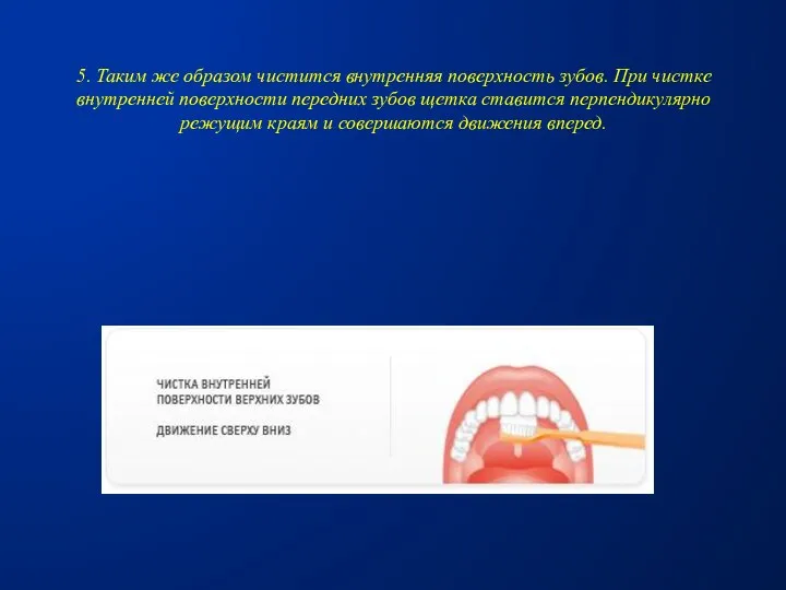 5. Таким же образом чистится внутренняя поверхность зубов. При чистке внутренней