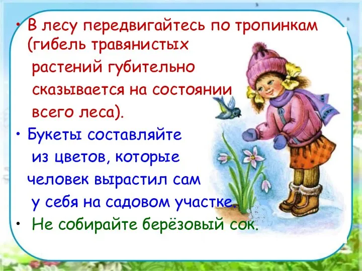 В лесу передвигайтесь по тропинкам (гибель травянистых растений губительно сказывается на