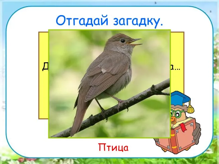 Отгадай загадку. Снится ночью пауку Чудо-юдо на суку, Длинный клюв и