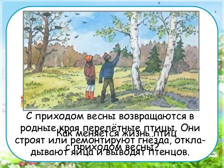 Работа в парах. Как меняется жизнь птиц с приходом весны? С