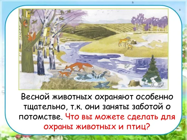 Весной животных охраняют особенно тщательно, т.к. они заняты заботой о потомстве.