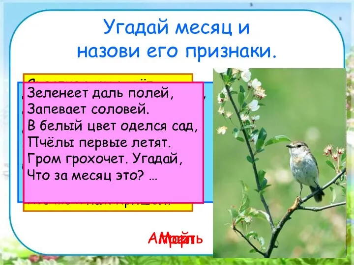 Угадай месяц и назови его признаки. Дует тёплый южный ветер, Солнышко