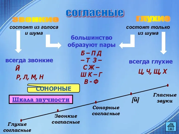 согласные звонкие глухие большинство образуют пары всегда звонкие всегда глухие Б