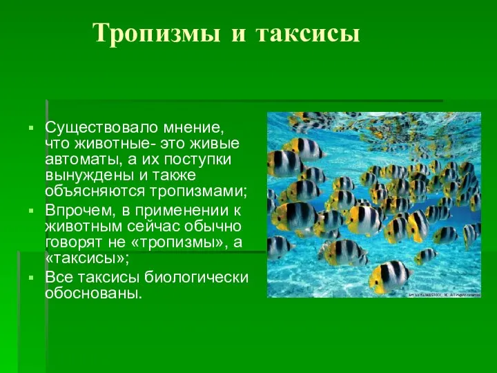 Тропизмы и таксисы Существовало мнение, что животные- это живые автоматы, а