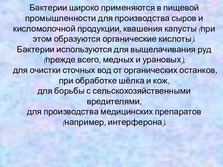 Бактерии широко применяются в пищевой промышленности для производства сыров и кисломолочной