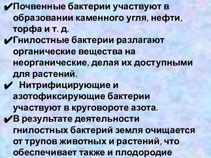 Значение бактерий в природе Почвенные бактерии участвуют в образовании каменного угля,