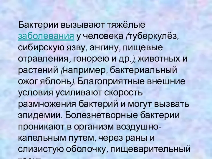 Бактерии вызывают тяжёлые заболевания у человека (туберкулёз, сибирскую язву, ангину, пищевые