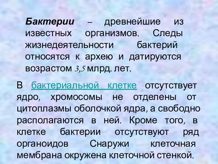 Бактерии – древнейшие из известных организмов. Следы жизнедеятельности бактерий относятся к