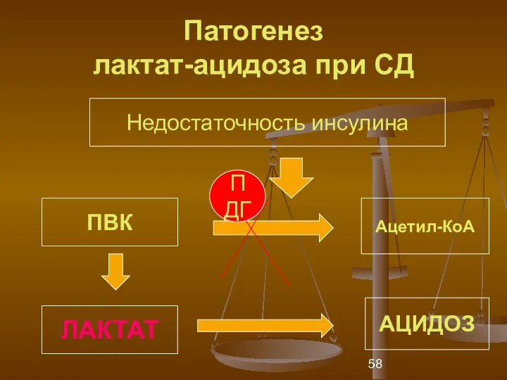 Патогенез лактат-ацидоза при СД Недостаточность инсулина ПВК Ацетил-КоА ЛАКТАТ АЦИДОЗ ПДГ