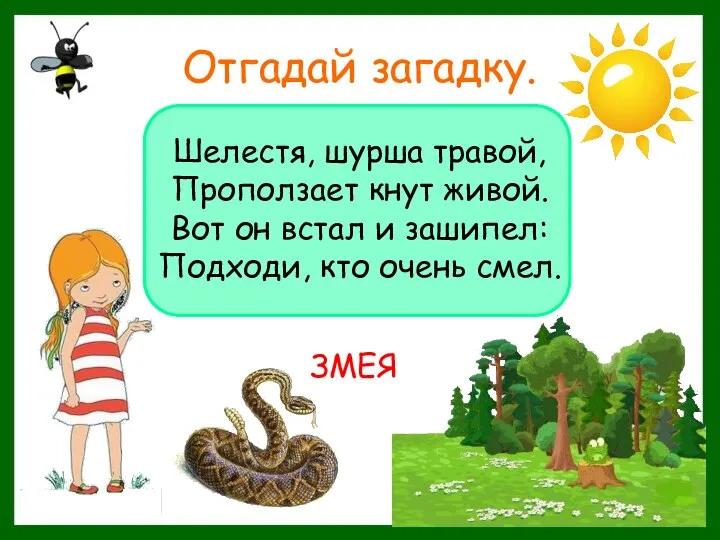 Отгадай загадку. Шелестя, шурша травой, Проползает кнут живой. Вот он встал