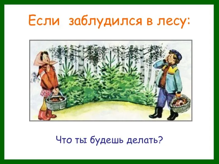 Если заблудился в лесу: Что ты будешь делать?