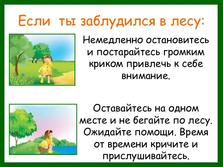 Если ты заблудился в лесу: Немедленно остановитесь и постарайтесь громким криком