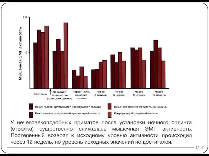 12-11 У нечеловекоподобных приматов после установки ночного сплинта (стрелка) существенно снижалась