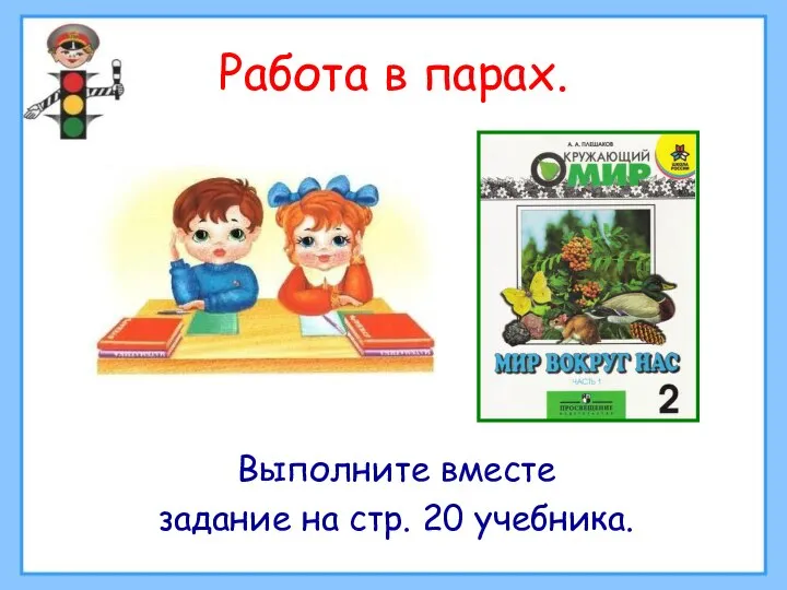 Работа в парах. Выполните вместе задание на стр. 20 учебника.