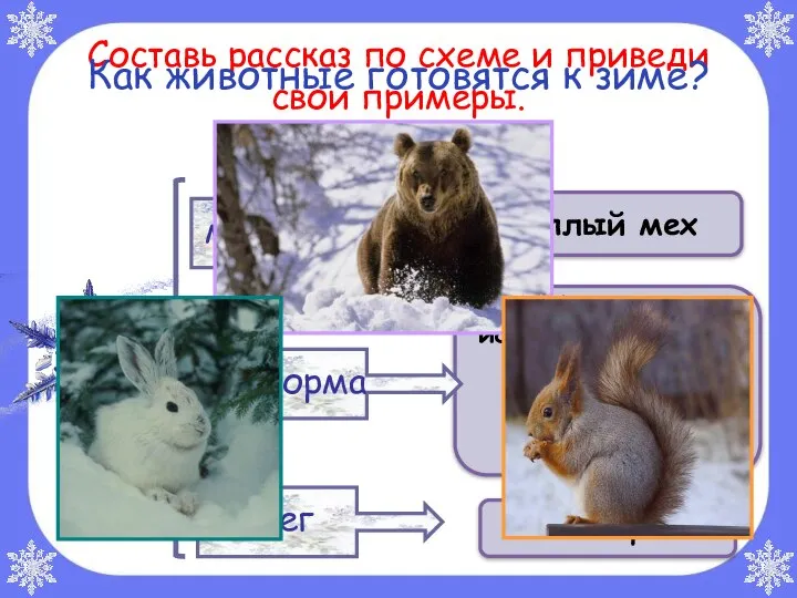 Составь рассказ по схеме и приведи свои примеры. Как животные готовятся к зиме?