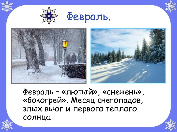 Февраль. Февраль – «лютый», «снежень», «бокогрей». Месяц снегопадов, злых вьюг и первого тёплого солнца.