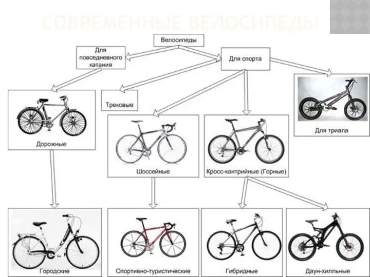 СОВРЕМЕННЫЕ ВЕЛОСИПЕДЫ