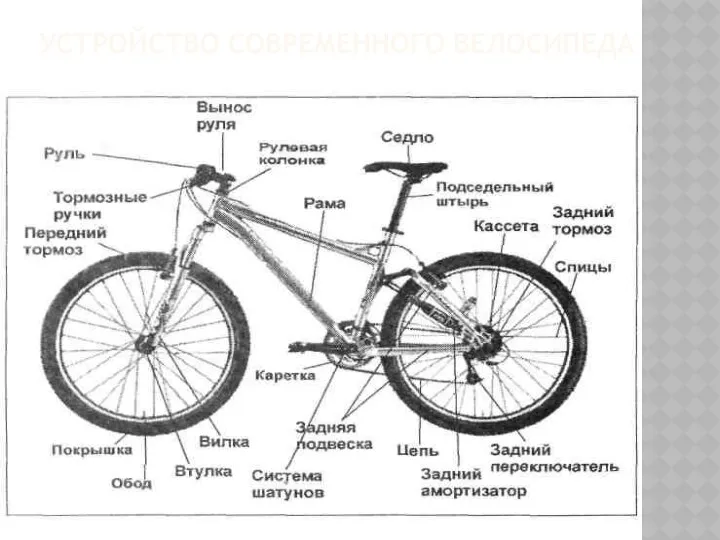 УСТРОЙСТВО СОВРЕМЕННОГО ВЕЛОСИПЕДА